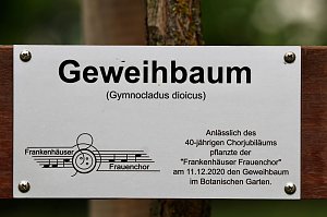 Einweihung Geweihbaum zum 40. Chorjubil&auml;um des Frankenh&auml;user Frauenchors