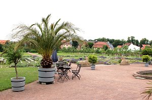Orangerie in Bendeleben
