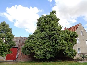 Etzleben nimmt am Wettbewerb "Unser Dorf hat Zukunft" teil