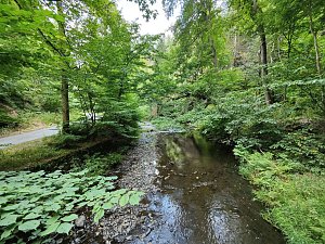 Vom Mägdesprung zum Waldgagsthof