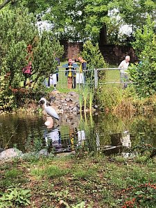 Elfenpark in Bleicherode
