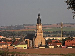 Kraniche am Stausee Kelbra