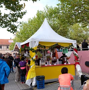 Zwiebelmarkt in Artern