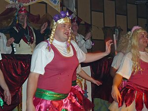 Best of Karneval 2010