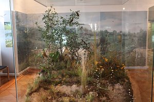 Diorama "Karge Sch&ouml;nheit"