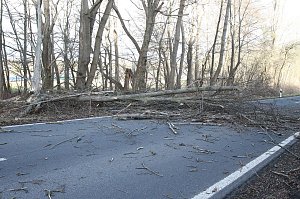 Sturmsch&auml;den auf der Landstra&szlig;e