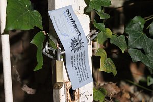 Bei einem Gro&szlig;einsatz in Sondershausen konnte die Polizei eine Cannabis-Plantage ausheben