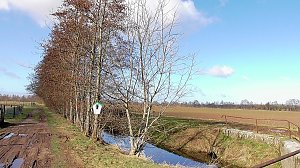 Unterwegs in der Goldenen Aue
