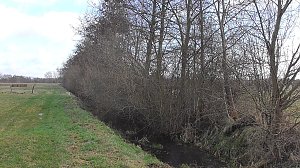 Unterwegs in der Goldenen Aue