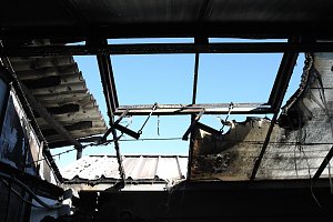 Brand im Greu&szlig;ener Gartencenter
