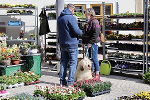 Gut besuchter Sondersh&auml;user Ostermarkt
