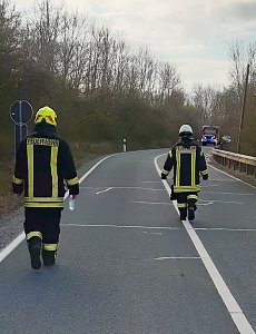 Wildunfall mit Personensuche