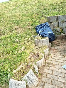 Berge von M&uuml;ll mussten die Hachelbichler am vergangenen Samstag entsorgen