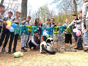 Affengeburtstag und Putzaktion im Affenpark Strau&szlig;berg