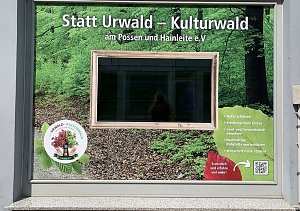 Gr&uuml;nes Schaufenster in der Innenstadt von Sondershausen