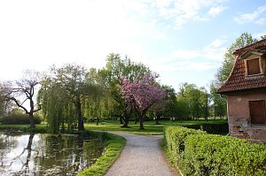 Sie brüten noch!