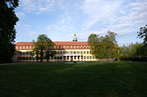 Sie brüten noch!