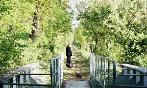 Tieraufnahmen