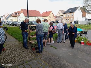 Pflanzentauschb&ouml;rse in Bad Frankenhausen