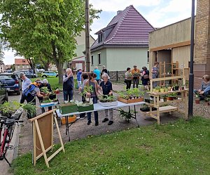 Pflanzentauschb&ouml;rse in Bad Frankenhausen