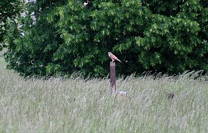 Peter Blei unterwegs am Stausee Kelbra