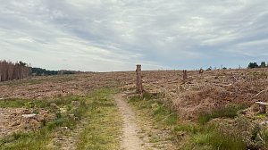 Eindr&uuml;cke aus dem Oberharzzwischen Trautenstein und Sophienhof