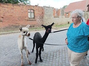 Zu Besuch bei Wilma und Co.