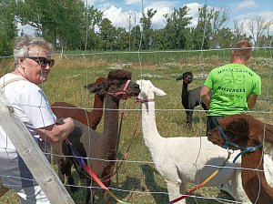 Zu Besuch bei Wilma und Co.