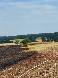 Flächenbrand bei Trebra