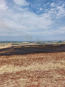 Flächenbrand bei Trebra