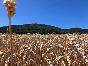 Entstehung des Bodenbildes in Bad Frankenhausen
