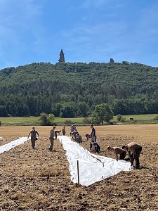 Entstehung des Bodenbildes in Bad Frankenhausen