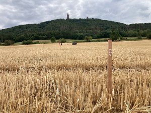 Entstehung des Bodenbildes in Bad Frankenhausen