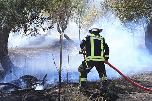 Fl&auml;chenbrand zwischen Gro&szlig;- und Kleinfurra