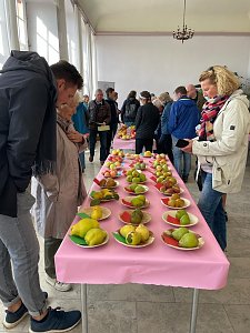Obstsortentag in der Orangerie