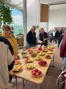 Obstsortentag in der Orangerie