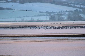 Peter Blei unterwegs im Schnee