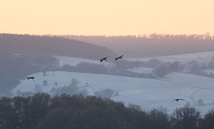 Peter Blei unterwegs im Schnee