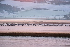 Peter Blei unterwegs im Schnee