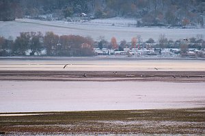 Peter Blei unterwegs im Schnee