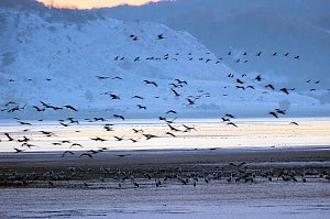 Peter Blei unterwegs im Schnee
