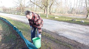 Kr&ouml;tenwanderung zum Hammateich