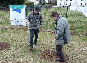 Baumpflanzung Bad Frankenhausen
