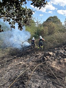 Brand eines Feldes bei Reinsdrof