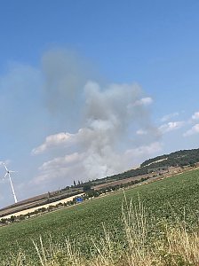 Brand eines Feldes bei Reinsdrof