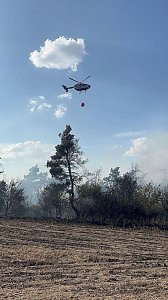Brand eines Feldes bei Reinsdrof