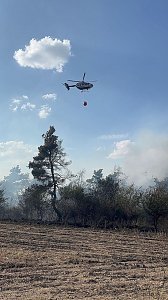 Brand eines Feldes bei Reinsdrof