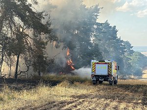 Brand eines Feldes bei Reinsdrof