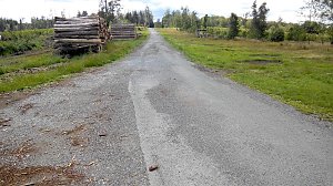 Der Weg vom Grillplatz in Richtung "Waldschl&ouml;sschen", der einst von hohen Fichten rechts und links flankiert war.