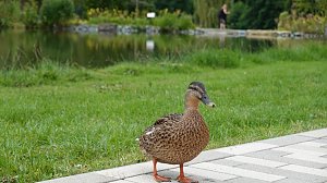 Stippvisite bei der Landesgartenschau in Bad Gandersheim